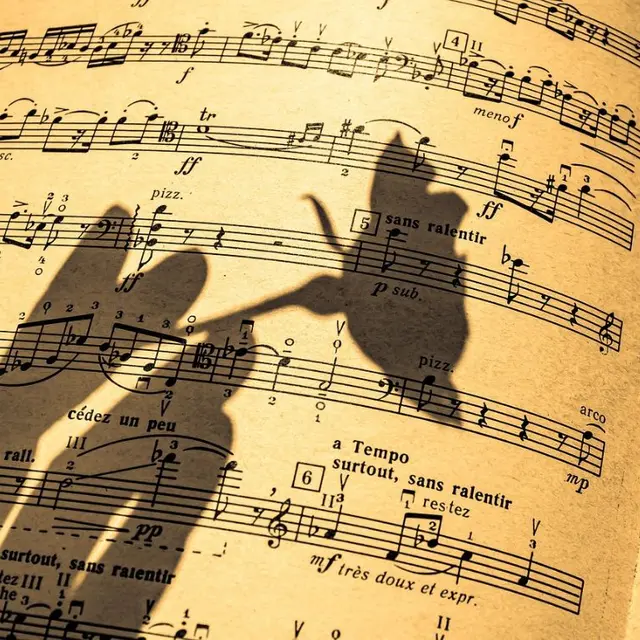 Contes musicaux
