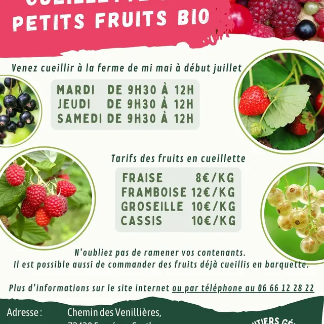 Copie de Visite guidée fruits santé - 1