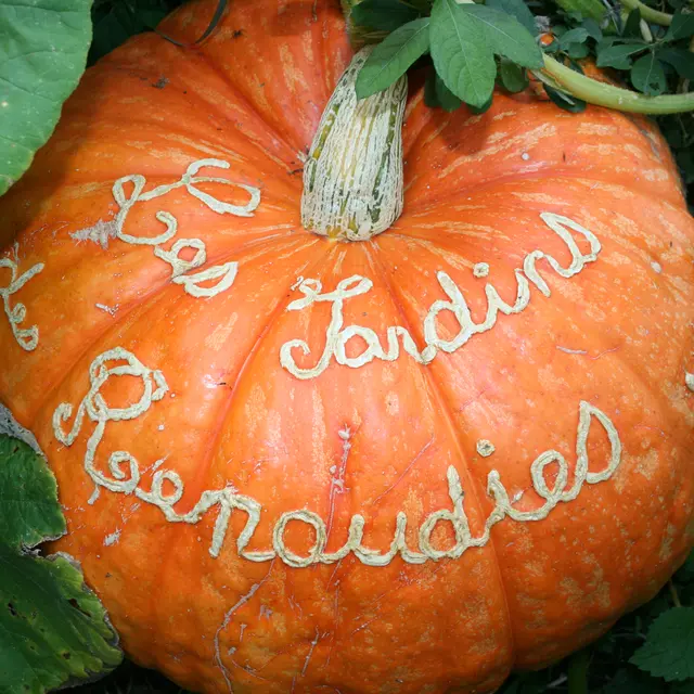 Fête des Citrouilles 2015 Jardins des Renaudies Jardins(1)