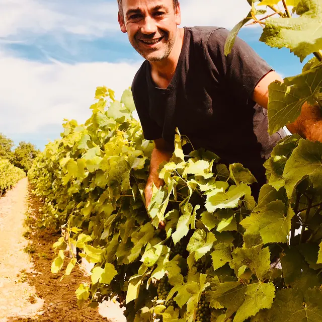 domaine-cormerais-st-lumine-44