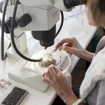 La-carpologie_Inrap Lab-Archéo_Myr-Muratet-Inrap