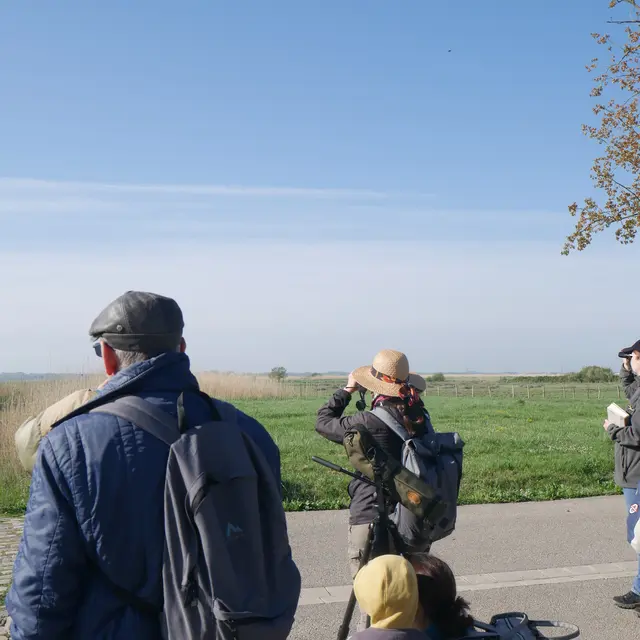 Balade à l'écoute du chant des oiseaux