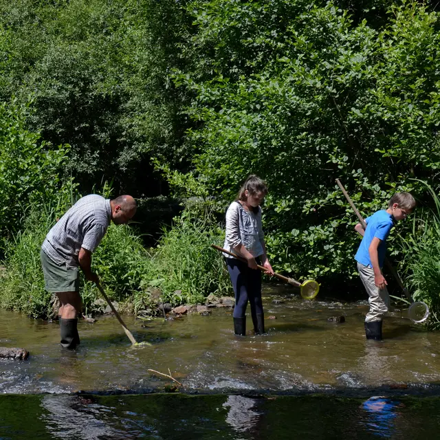 Pêche en Mayenne