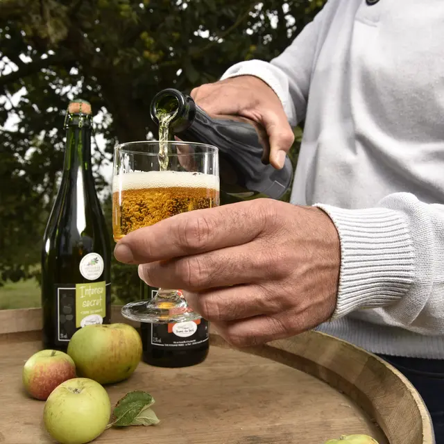 Producteur cidre Ferme du Theil à Andouillé