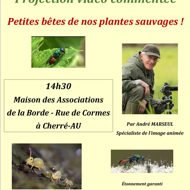 Projection 3 mai