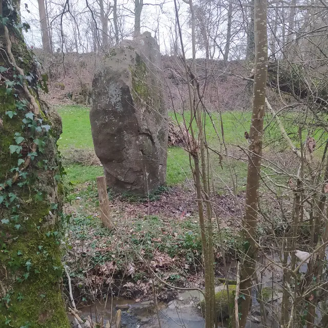 Sentier de la Colmont - Gorron 53 © Bocage Mayennais -1
