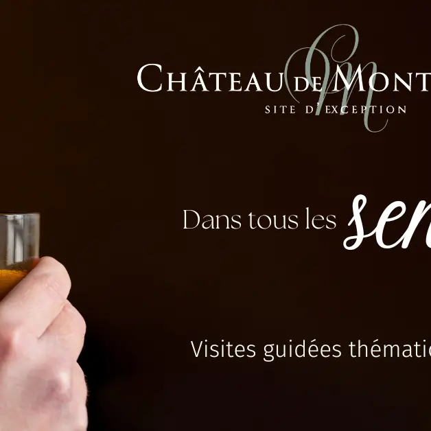 Les 5 sens