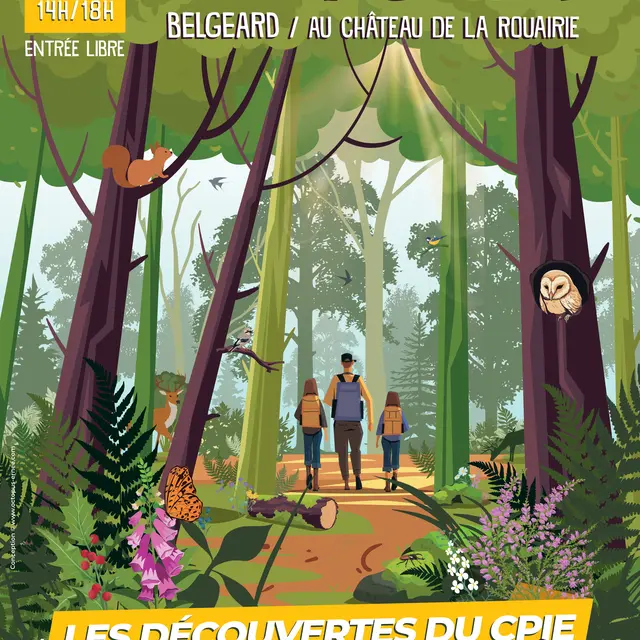 Les découvertes du CPIE 2025 - La Forêt