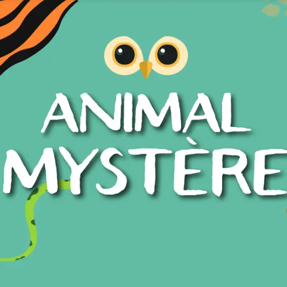 animal-mystère
