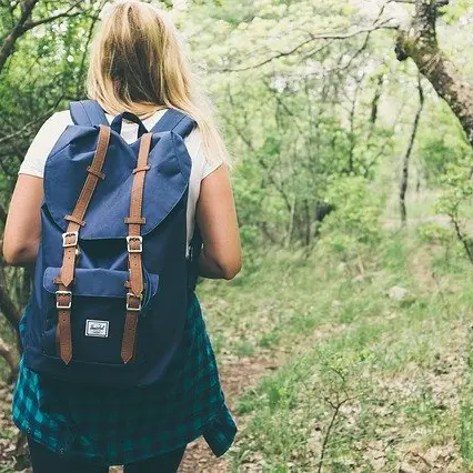backpack-gbc4f513ce_640