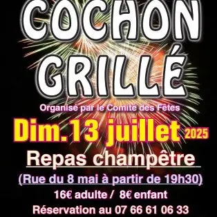 c947f191f78c96f9afc8db418495a03_cochon-gri