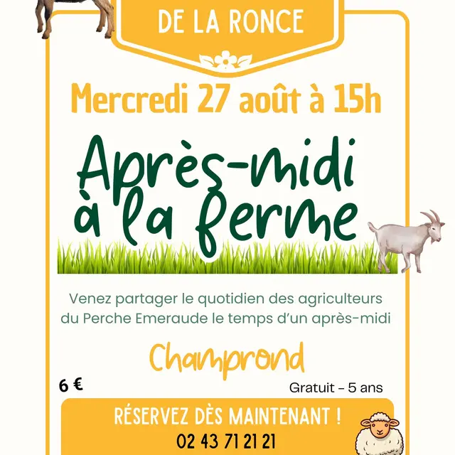 Copie de Affiche Ferme camping - 4