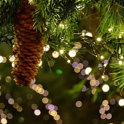 christmas-garland-3891232_640