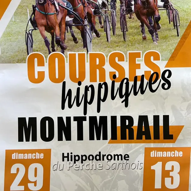 courses hippiques