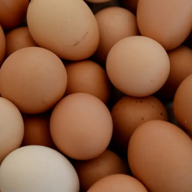 Oeufs