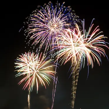 festivite-medium