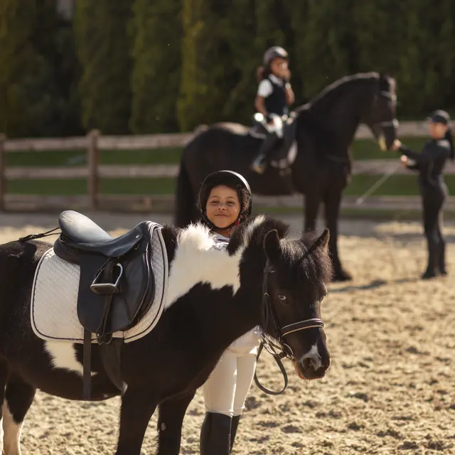 full-shot-children-learning-ride-horses
