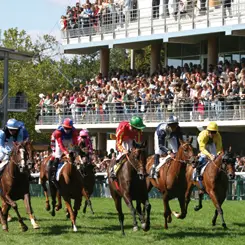 galop