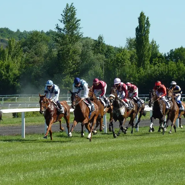 Courses hippiques