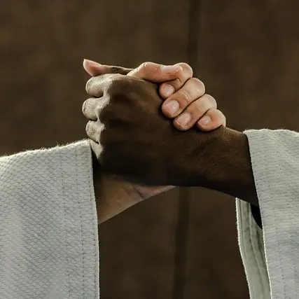 judo-2121640_640