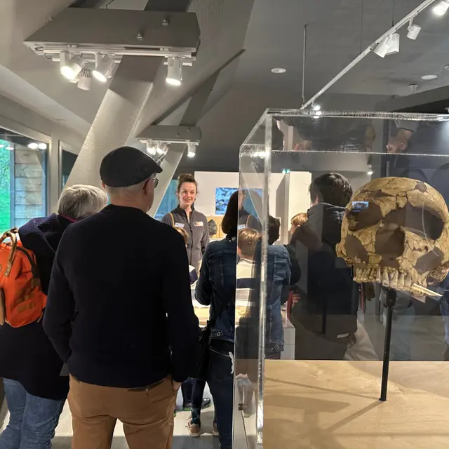 visite guidée musée