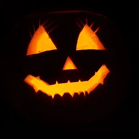 pumpkin-g1568cb71d_640