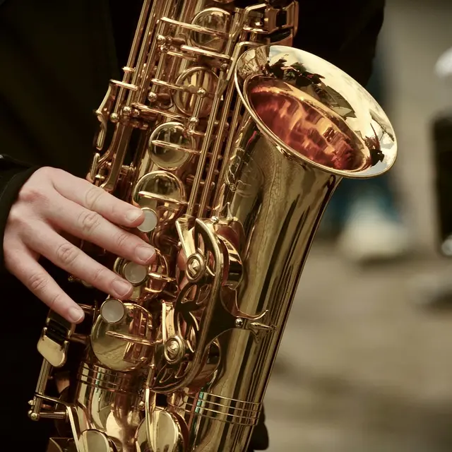 FMA53 - Concert du Wilbur Jazz Band