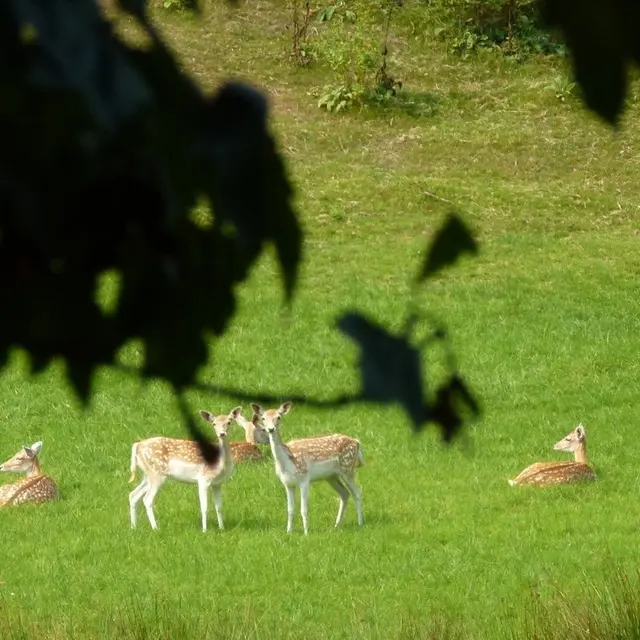 6 - S'émerveiller au parc l'évêque ©Hervé Rebeyrolle