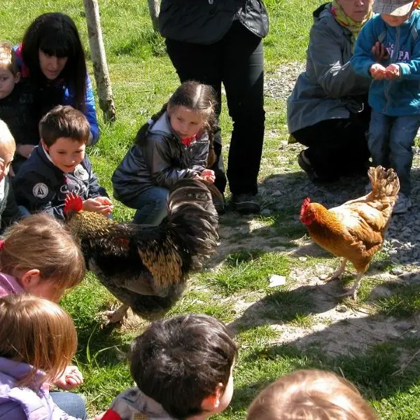 Nourrissage des animaux à la ferme 2025