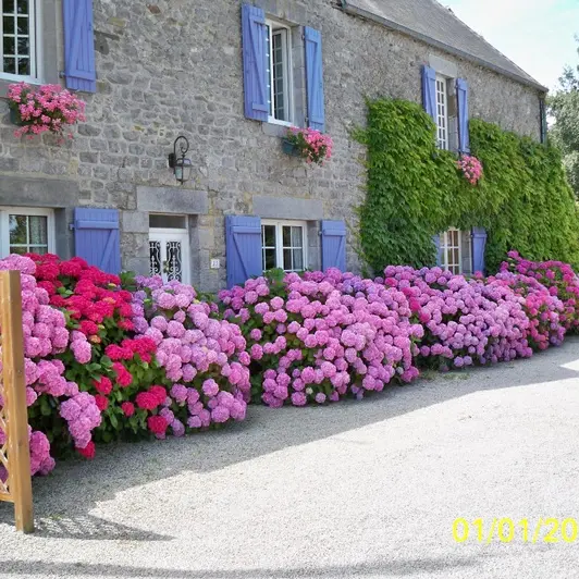 0-bricqueville-sur-mer-ch-leguevel