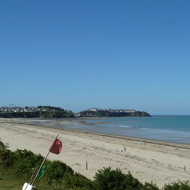 0-les-chardons-bleus-n23-donville-les-bains