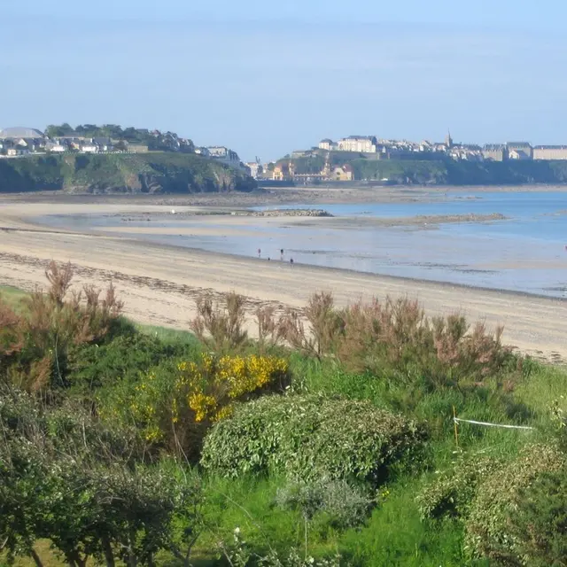 0-les-chardons-bleus-n32-donville-les-bains