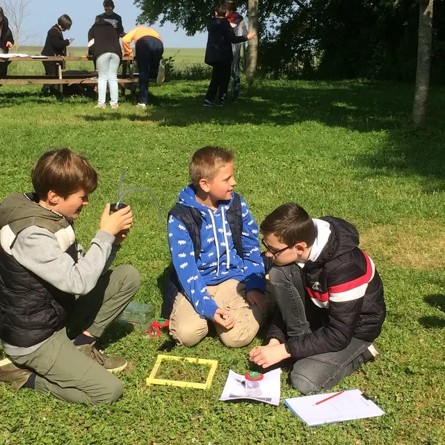 Vains_Ecomusée de la Baie_Animation insectes