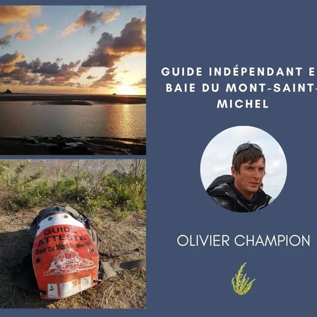 1-guide-de-la-baie-du-mont-saint-michel-olivier-champion