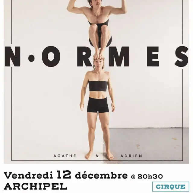16_Affiche_NORMES - déc 2025