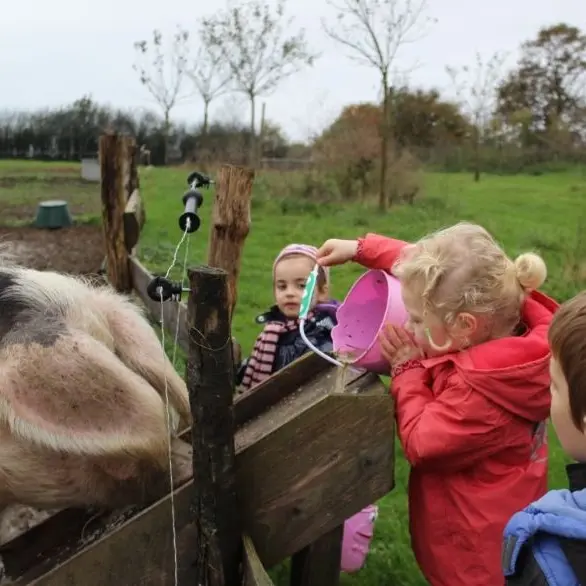 Découverte des animaux de la ferme