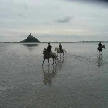 2012_Bréhal_Cheval de la Lande_1160362_TIS
