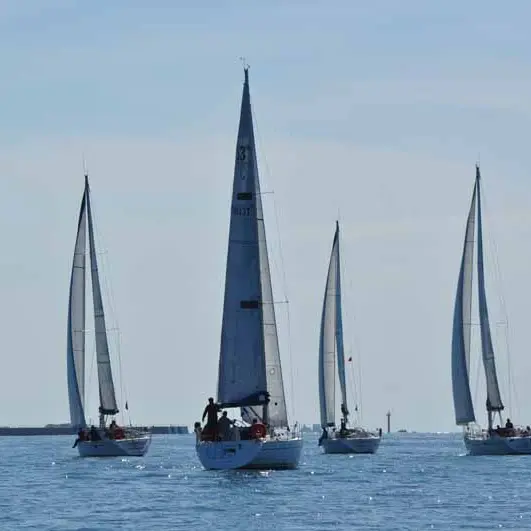 2012_Grune Sec_0061©Grune Sec_TIS