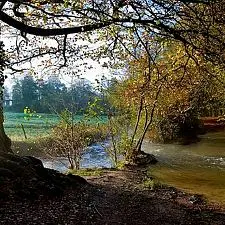 La lucerne d'Outremer