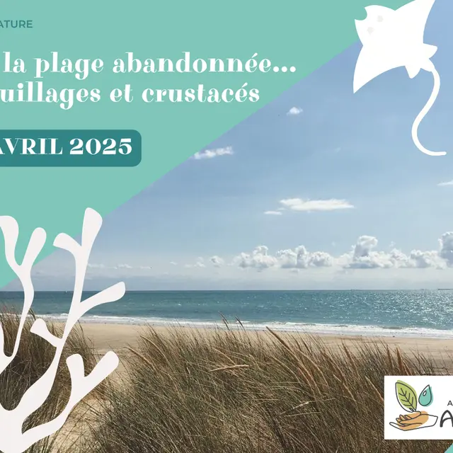 AVRIL_20250426_sur la plage abandonnee_blainville