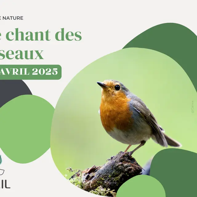 AVRIL_20250406_chant des oiseaux carré_heugueville