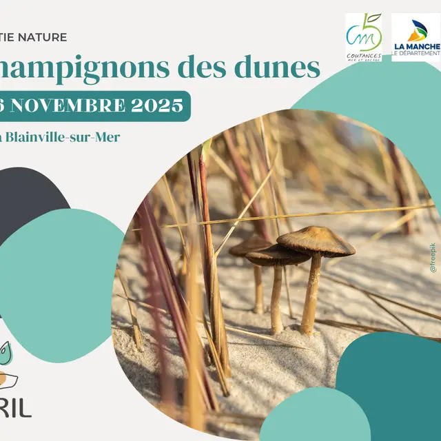 AVRIL_20251106-champignons des dunes_blainville
