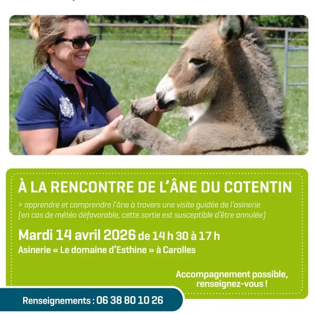 2026 - Bouffeedair_asinerie