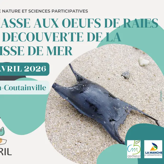 AVRIL_202604158_capoera_agon