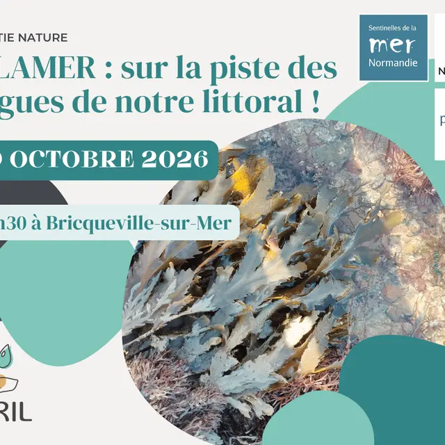 Tourinsoft 1200x900 - 20261019_ALAMER_bricquevillesurmer