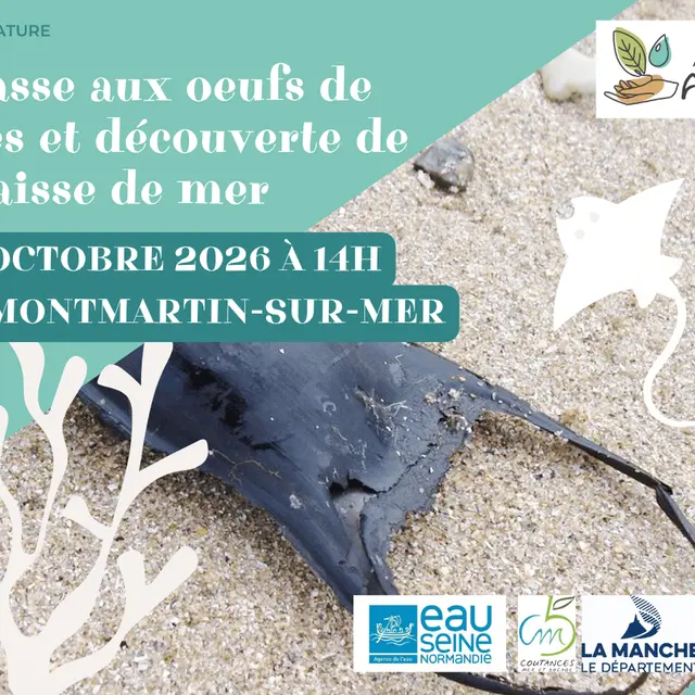 Tourinsoft 1200x900 - 20261021_chasse aux oeufs de raies_montmartin-sur-mer