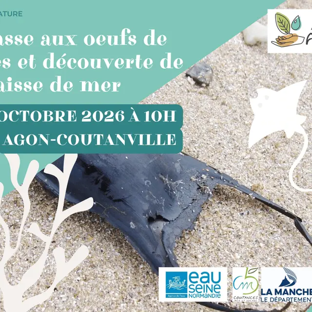 Tourinsoft 1200x900 - 20261028_chasse aux oeufs de raies_agoncoutainville