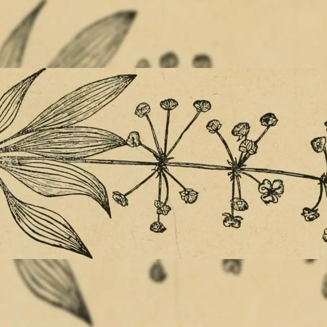 20578866742_30c7edee63_b (1)