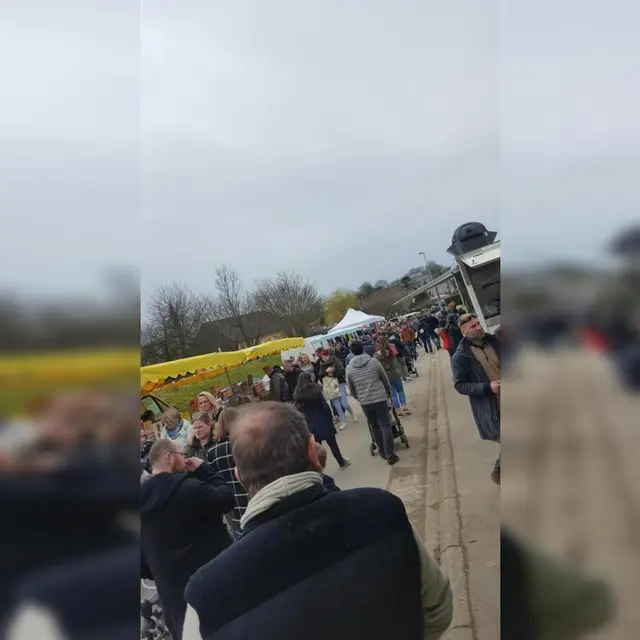 29943167_10214299958786657_1571680907_o (1)