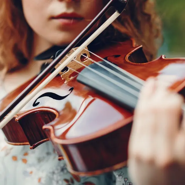 violon